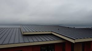 Fast & Reliable Emergency Roof Repairs in Level Plains, AL